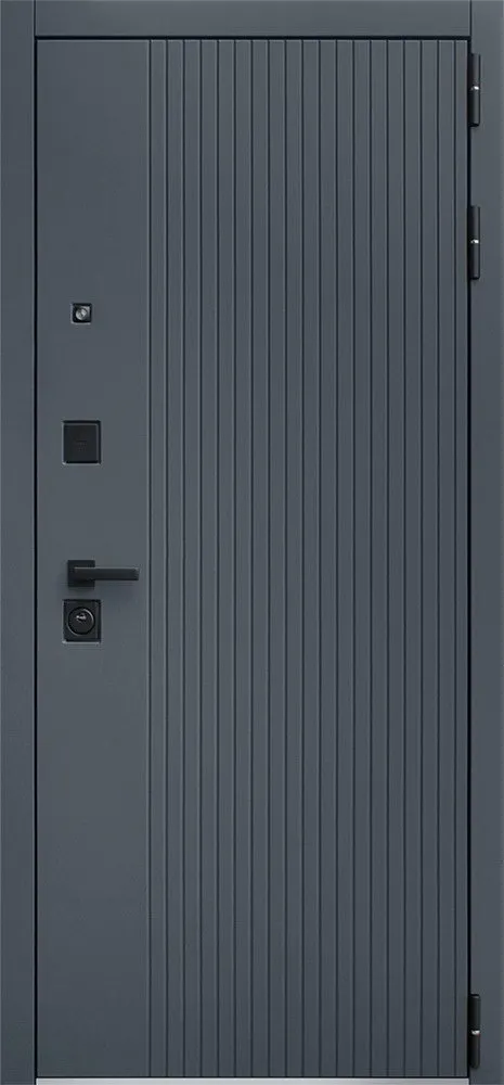 Товар Дверь Вертикаль DIS006699